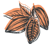 COQUE2 | Emotions cacao Produits de saison Lunéville